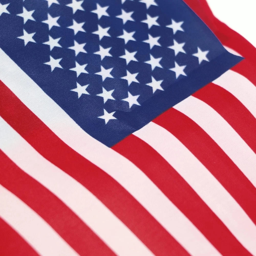 US National String Pennant Flags