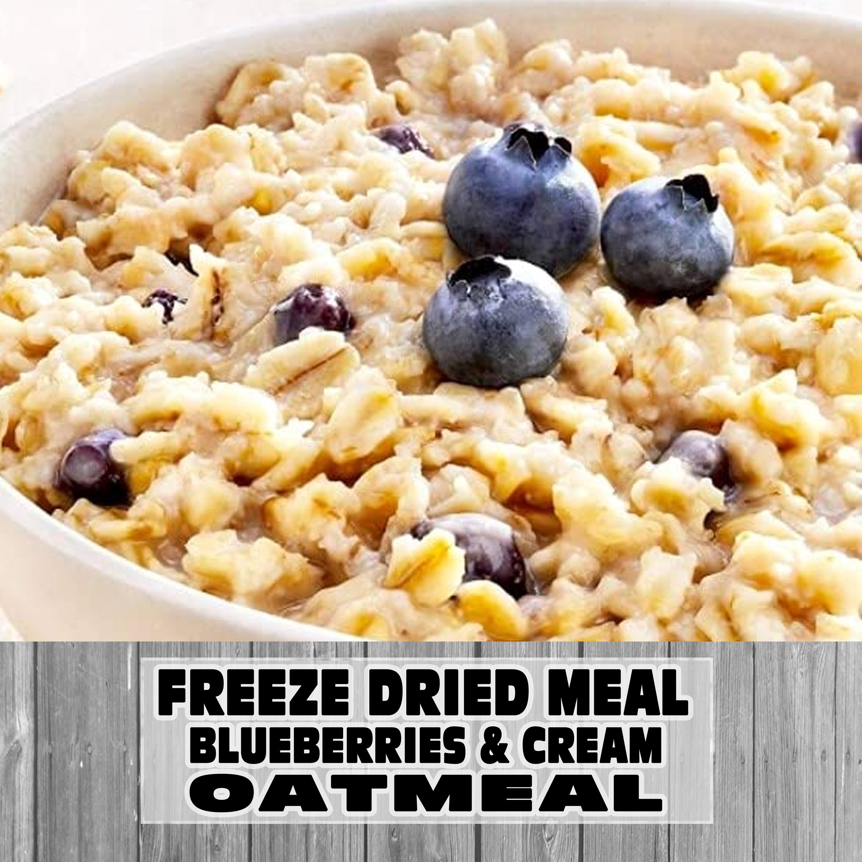 MAK D Productions Blueberries and Cream Oatmeal Freeze Dried Meal Camping Hunting Preppers Kayaking Backpacking Hiking Breakfast Bag Food