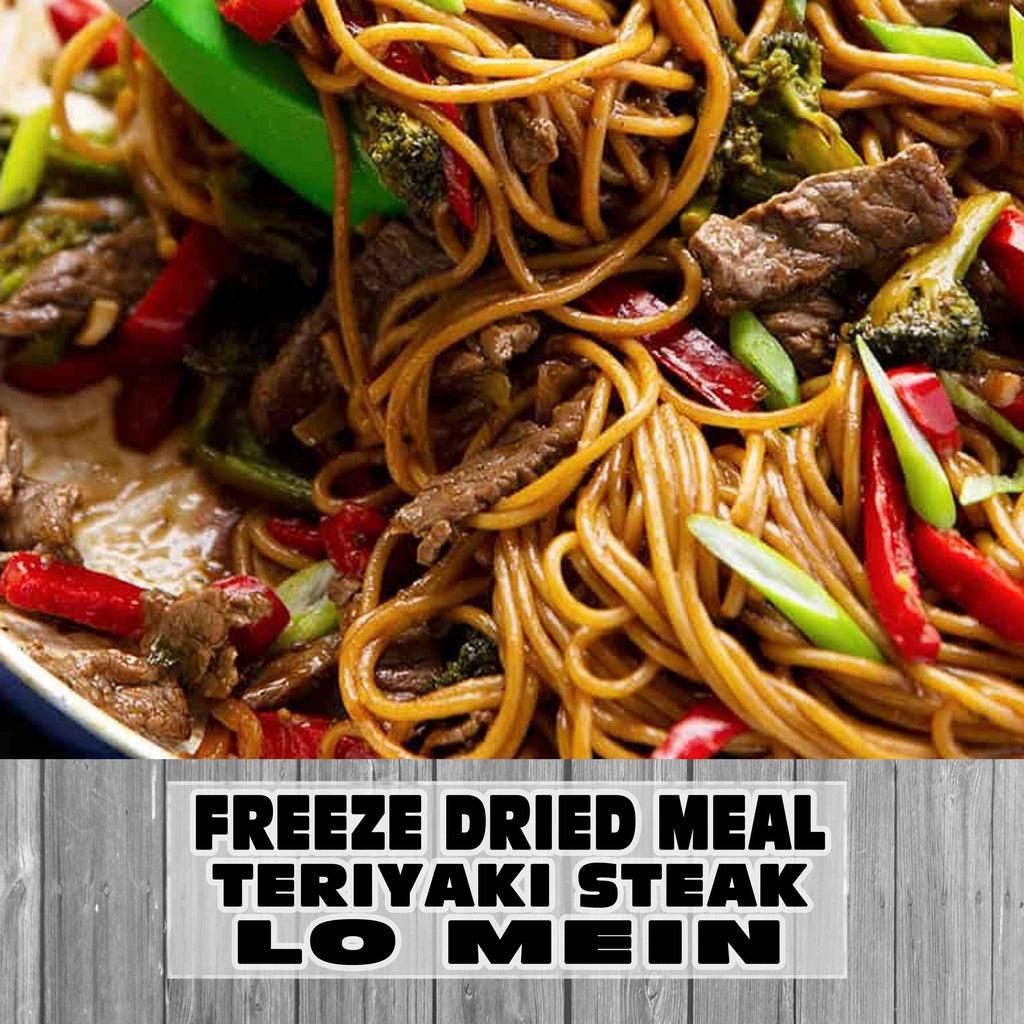 MAK D Productions Beef STEAK Pasta Teriyaki Steak Lo Mein Freeze Dried Meal Camping Hunting Prep Backpacking Hiking Kayaking Easy Bag Food