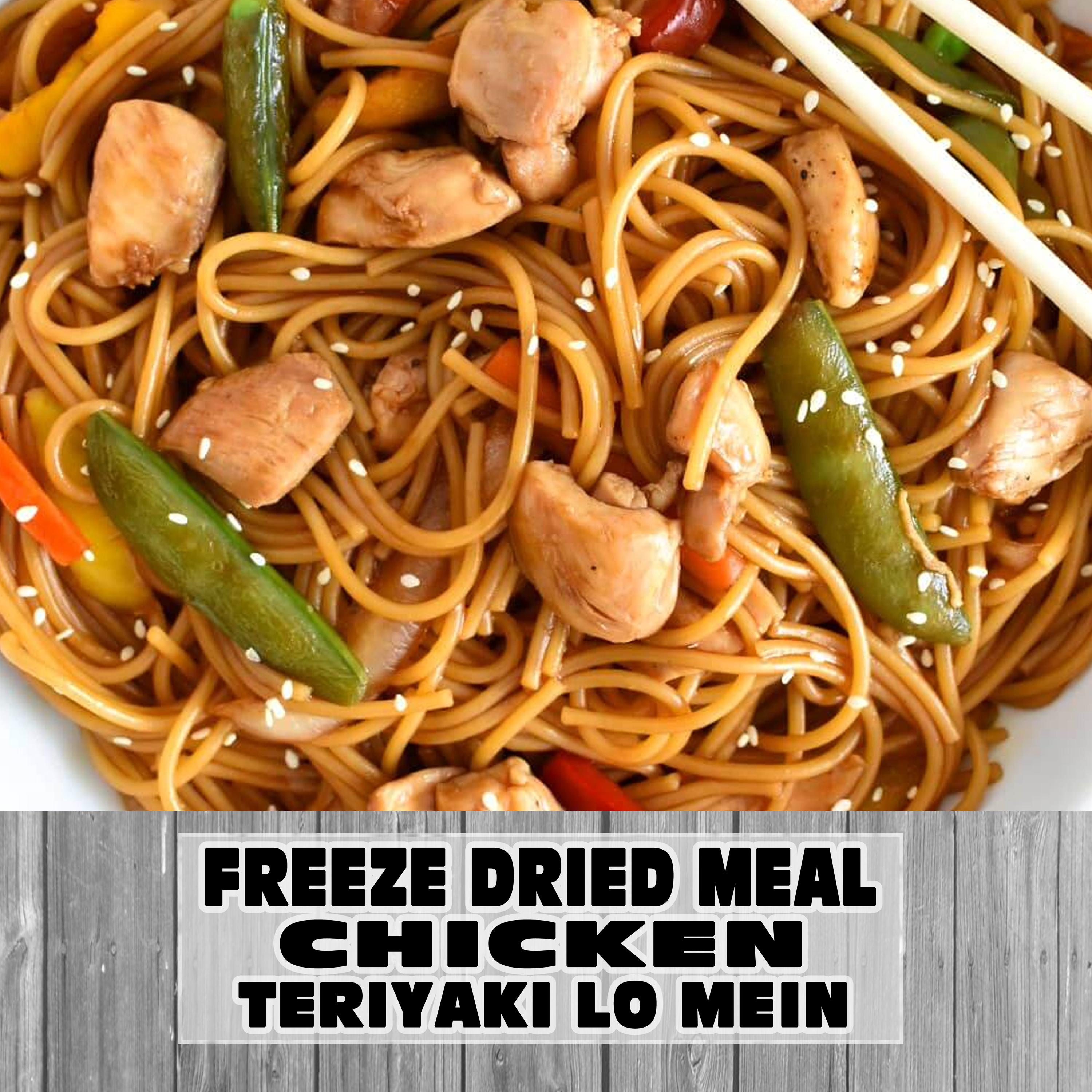 MAK D Productions Chicken Teriyaki Lo Mein Pasta Freeze Dried Meal Camping Hunting Preppers Backpacking Hiking Kayaking Fishing Bag Food